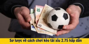 Cách Chơi Kèo 2.75 Tại 7M Để Ăn Tiền Cực Dễ Dàng