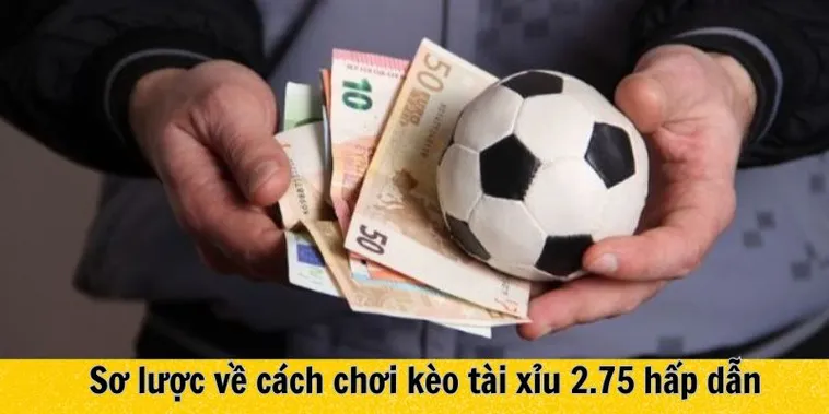 Cách Chơi Kèo 2.75 Tại 7M Để Ăn Tiền Cực Dễ Dàng