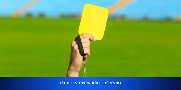 Kinh Nghiệm Soi Kèo Thẻ Vàng Tại 7M Cho Người Mới Bắt Đầu