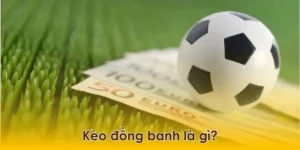 Giải Mã Kèo Đồng Banh Tại 7M Và Cách Đặt Cược Hiệu Quả Cho Tân Thủ