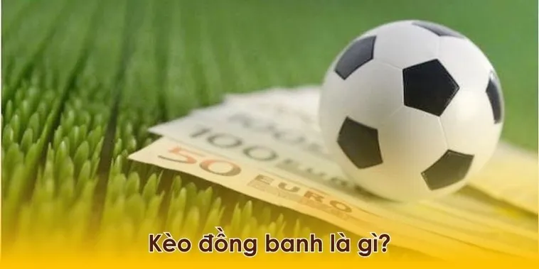 Giải Mã Kèo Đồng Banh Tại 7M Và Cách Đặt Cược Hiệu Quả Cho Tân Thủ