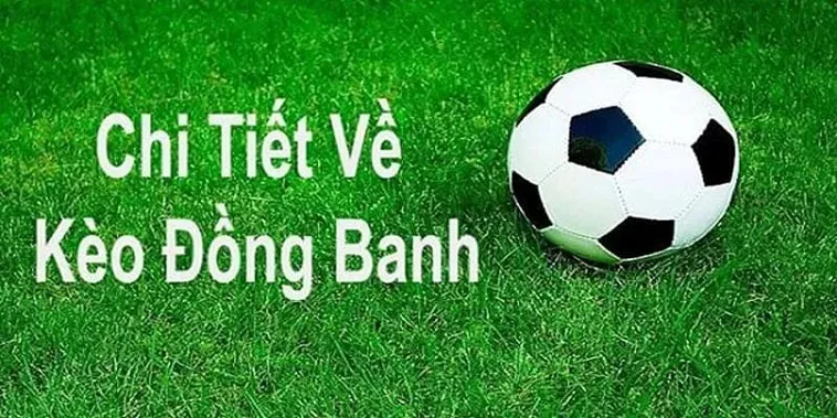 Giải Mã Kèo Đồng Banh Tại 7M Và Cách Đặt Cược Hiệu Quả Cho Tân Thủ
