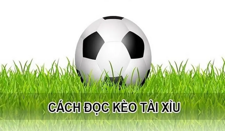 Cách Soi Kèo Tài Xỉu Hiệp 1 Tại 7M Để Thắng Lớn Mỗi Ngày