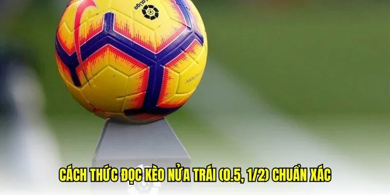 Hướng Dẫn Cách Xem Kèo Chấp 0.5 Tại 7M Cho Người Mới