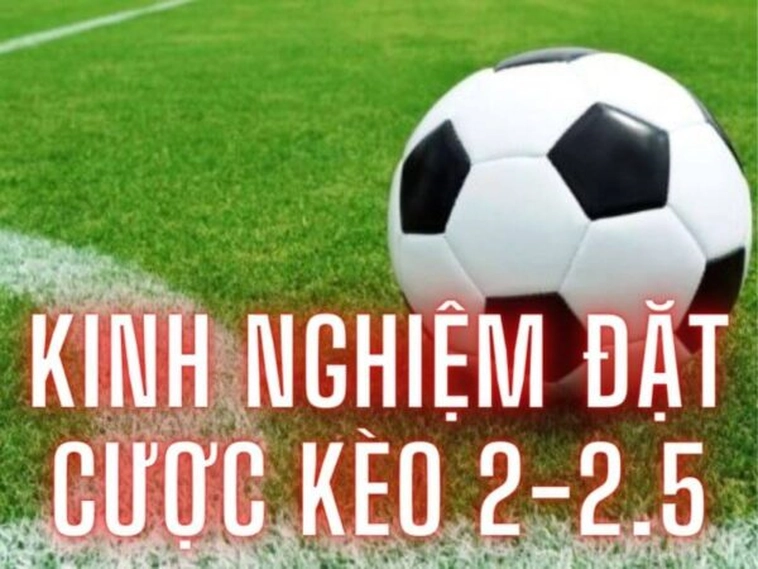 Bí Quyết Chinh Phục Kèo 2.25 Tại 7M Và Cách Tính Tiền Chuẩn Xác
