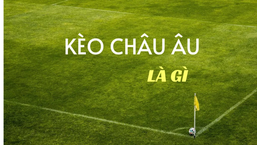 Hướng Dẫn Cách Soi Kèo Châu Âu Tại 7M Đạt Tỷ Lệ Thắng Cao Nhất