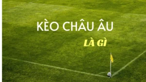 Hướng Dẫn Cách Soi Kèo Châu Âu Tại 7M Đạt Tỷ Lệ Thắng Cao Nhất