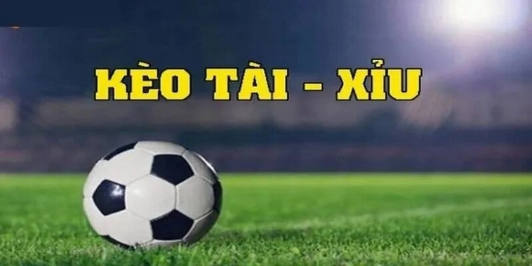Hướng Dẫn Xem Kèo Tài Xỉu Tại 7M Để Đạt Hiệu Quả Cao Nhất