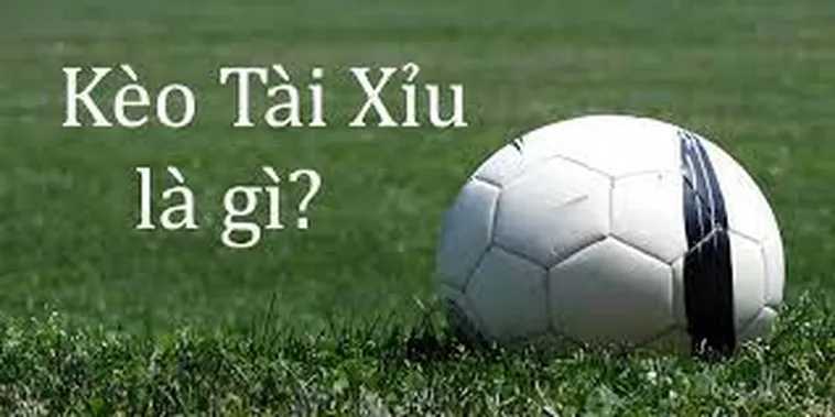 Hướng Dẫn Xem Kèo Tài Xỉu Tại 7M Để Đạt Hiệu Quả Cao Nhất